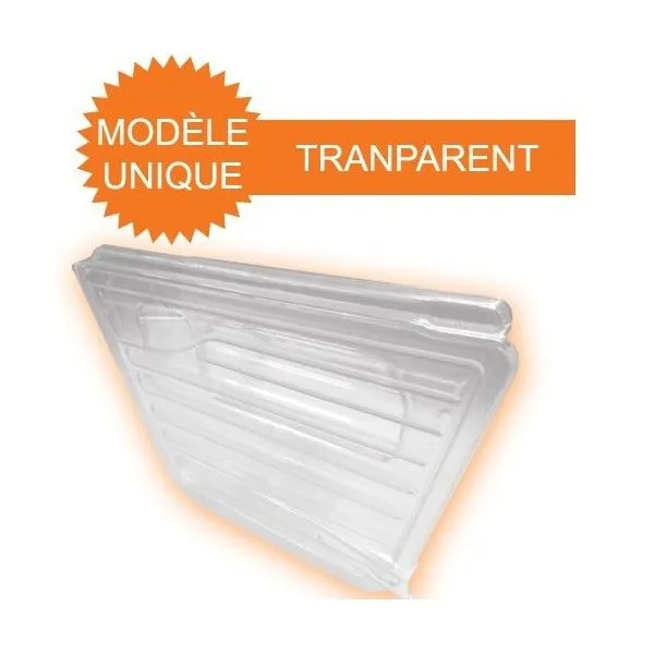 Porte droite méhari transparent