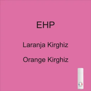 Pintura en aerosol de 298 ml para el Méhari EHP en naranja kirguís, años 1968-1969-1970-1971-1972-1973-1974-1975-1976-1977-1978-1979-1980-1981-1982-1983-1984-1985-1986-1987